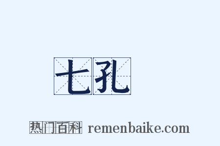 七孔鍼是什么意思的图片